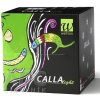 Wellion CALLA light blackberry - Glukometer 1 set