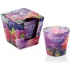 BARTEK Berries Ice Cream, vonná sviečka 115 g