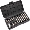 Sada bitov 15-dielna TORX, XL-TOOLS