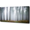 Foto obraz na plátne Hmla v lese 100x50 cm
