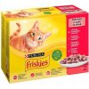 Friskies cat Multipack kura&hovädzie&jahňacie&kačica kapsička 12x85 g