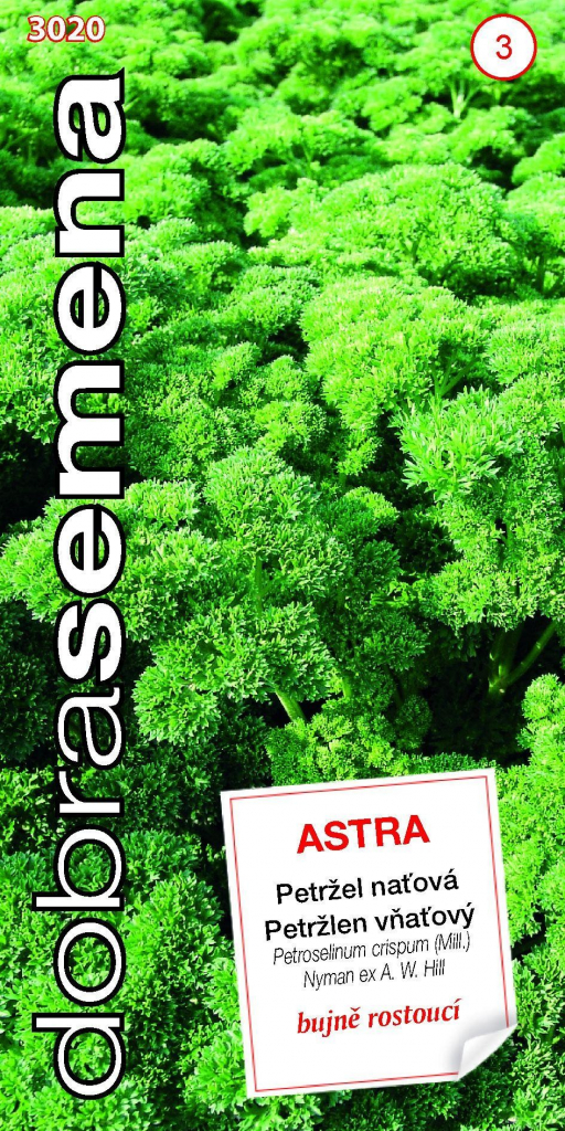 Dobré semená Petržlen vňaťová - Astra kučeravá 3g