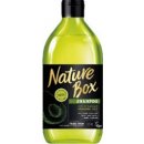 Nature Box šampón Avocado Oil 385 ml