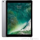 Apple iPad Pro Wi-Fi+Cellular 256GB Space Gray MPA42FD/A