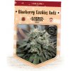 Garden Of Green Seedbank - Blueberry Cookies Auto 15 ks - Semená neobsahujú THC