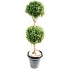 Umelý strom Krušpán - Buxus dvojitý na kmienku, 170cm