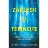 Záblesk v temnote