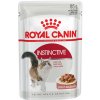 Royal Canin Hair&Skin v šťave 12 x 85 g