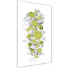 Vertikálny foto obraz akryl zvislý do obývačky Limetky 50x100 cm