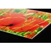 DIMEX | Plexisklo za kuchynskú linku PGT-10060-028 | 100 x 60 cm Červené vlčie maky + Plexisklo za kuchynskú linku DIMEX v rozmere 100 x 60 cm, Červené vlčie maky + Lepidlo zadarmo