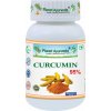 Kurkumín 95 - Protizápalová podpora, Imunita - 500 mg, 60 kapsúl