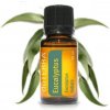 DoTerra Eucalyptus Esenciálny olej eukalyptus 15 ml