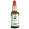 Salvia Paradise Šatavari - shatavari AF tinktura BIO 30 ml