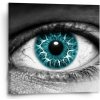 Sablio Obraz Modré oko - 50x50 cm