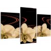 Obraz s orchideí (Obraz 90x60cm)