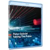 Gabriel Peter - Taking The Pulse (Live In Verona) 2BD