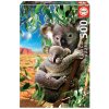Puzzle Koala and Cub Educa 500 dielov a Fix lepidlo v balení od 11 rokov