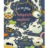 Co se děje v hmyzích obydlích? - Anna Milbourne