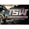 Train Sim World - Northeast Corridor New York DLC Steam CD Key
