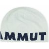 Mammut Logo beanie silver sage-marine