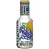 Arizona Blueberry White Tea 450 ml