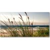 Foto obraz akryl do obývačky Morské duny 100x50 cm