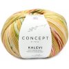 KALEVI SOCKS Katia Farby KALEVI: 205 žltý mix