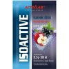 Activlab Isoactive Isotonic s Yerba Mate, Čierne ríbezle s jablkom - 31,5 g
