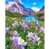 Diamantový obraz Horské kvety