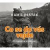 Co se do vás vejde - Kamil Pešťák
