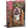 Puzzle Cherry Pazzi 1000 d. - Bon voyage!