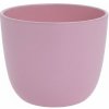 OBAL SEVILLA 11xh9CM ROSE