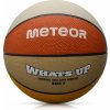 Meteor What's up 7 16801 roz.7