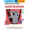 Ľahké bludiská- môj pracovný zošit (kolektív)