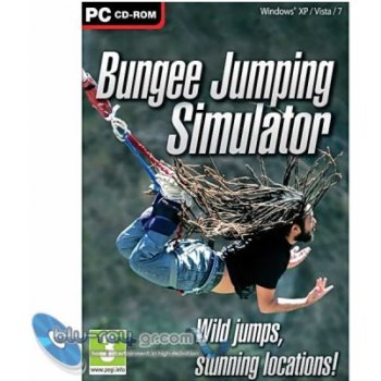 Bungee Jumping simulator