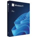 Microsoft Windows 11 Pro SK 64Bit USB, krabicová verzia, HAV-00161, nová licencia