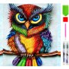 RealG RC-K-029 Sada na maľovanie diamantmi 5D, 20 x 20 cm, Farebná sova
