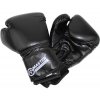 Boxovacie rukavice MASTER TG10