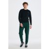 Gant Reg Shield Pants zelená