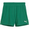 Puma | teamGOAL Handball Shorts W | zelená| XL