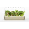 Kvetináč Click and Grow Smart Garden 9 béžový SG9B