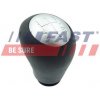 FAST FT00091
