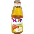 HiPP BIO jablkovo-hroznová 500 ml
