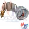 Manometr tlaku 0-6 Bar IMMERGAS AVIO / ZEUS MAIOR / SUPERIOR - 1.015807 / 1.015807P / 1.032363 / 1.027199 / 1.022733 / 1.011835 / 1.016787