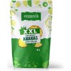 ORGANIS Ananás sušený mrazom XXL 90 g
