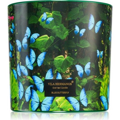 Vila Hermanos Jungletopia Blue Butterfly 620 g