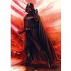 SCHMIDT Star wars Sith 1000 dielov