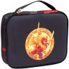 LEGO Ninjago Dragon Energy - desiatový box