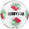 Futbalová lopta Derbystar Tempo TT 2025