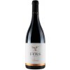 Frtus Winery Hron 2022 13% 0,75 l (čistá fľaša)